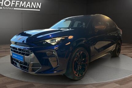 Cupra Terramar 19.500 km 42.990 &euro; Sundern 59846