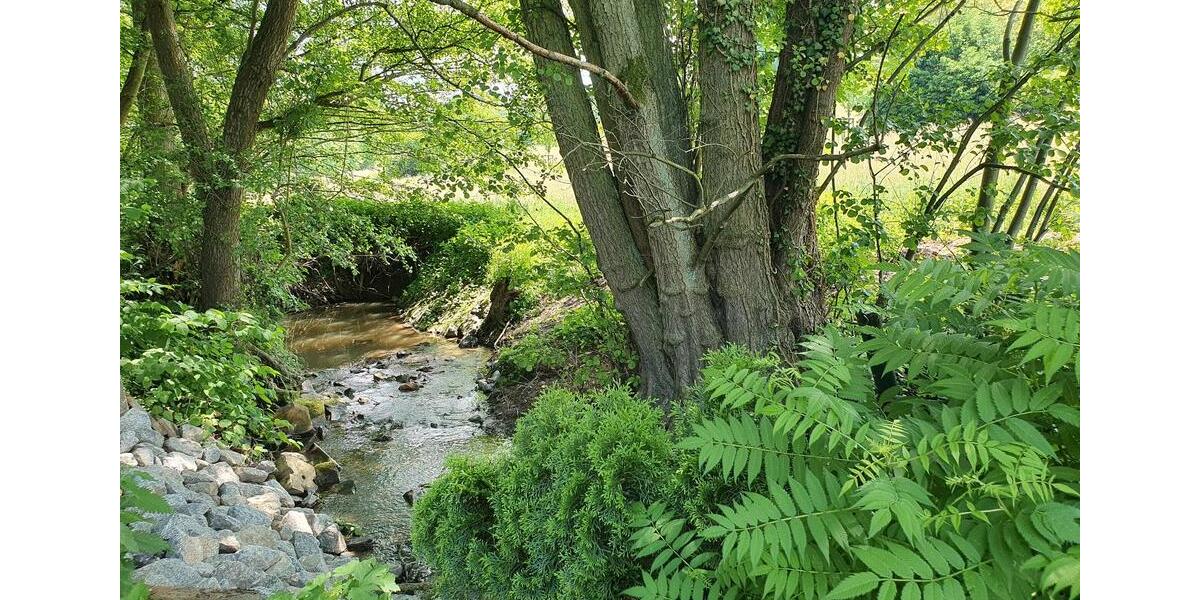 Mehrfamilienhaus, Wohnhaus Bad König - 850.000&euro; | Angebot:26373323