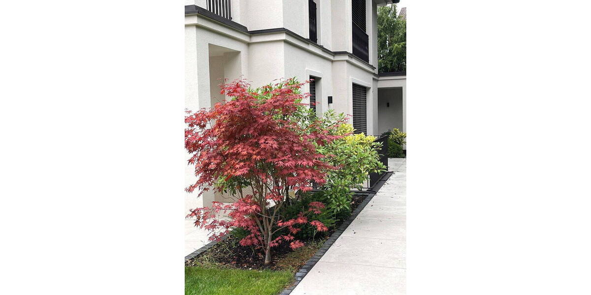 Doppelhaushälfte Germering Harthaus - 6 Zimmer, 246 m&sup2;, 2.150.000&euro; | Angebot:26358902