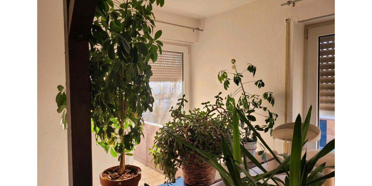 Einfamilienhaus Fridolfing - 10 Zimmer, 186 m&sup2;, 749.000&euro; | Angebot:26398157