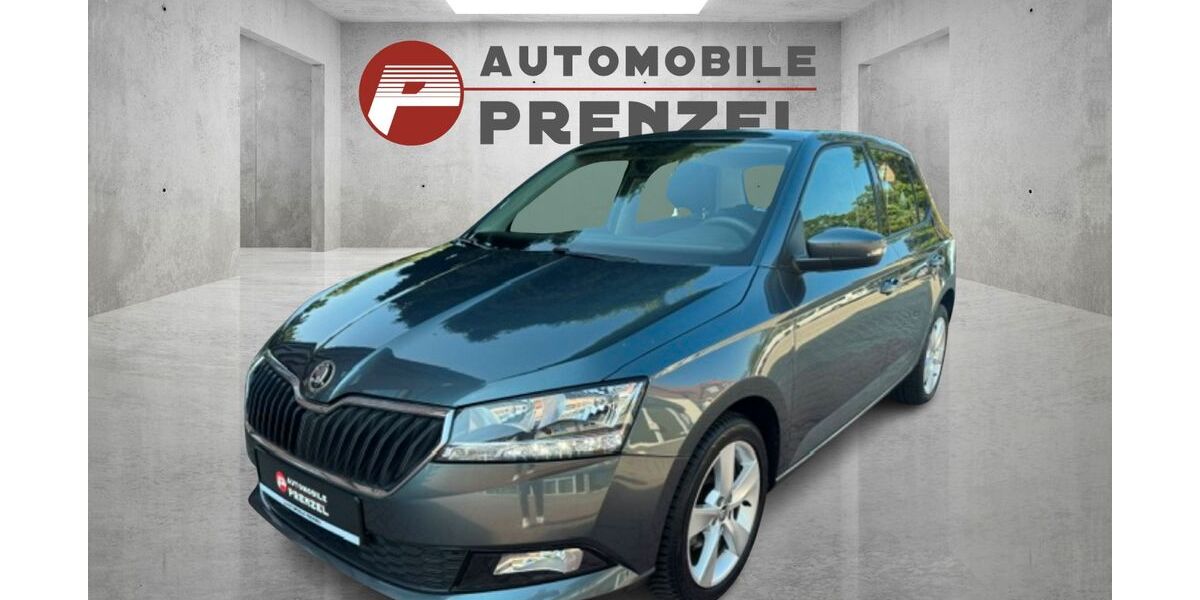Skoda Fabia 43.229 km 11.490 &euro; Hagenow 19230