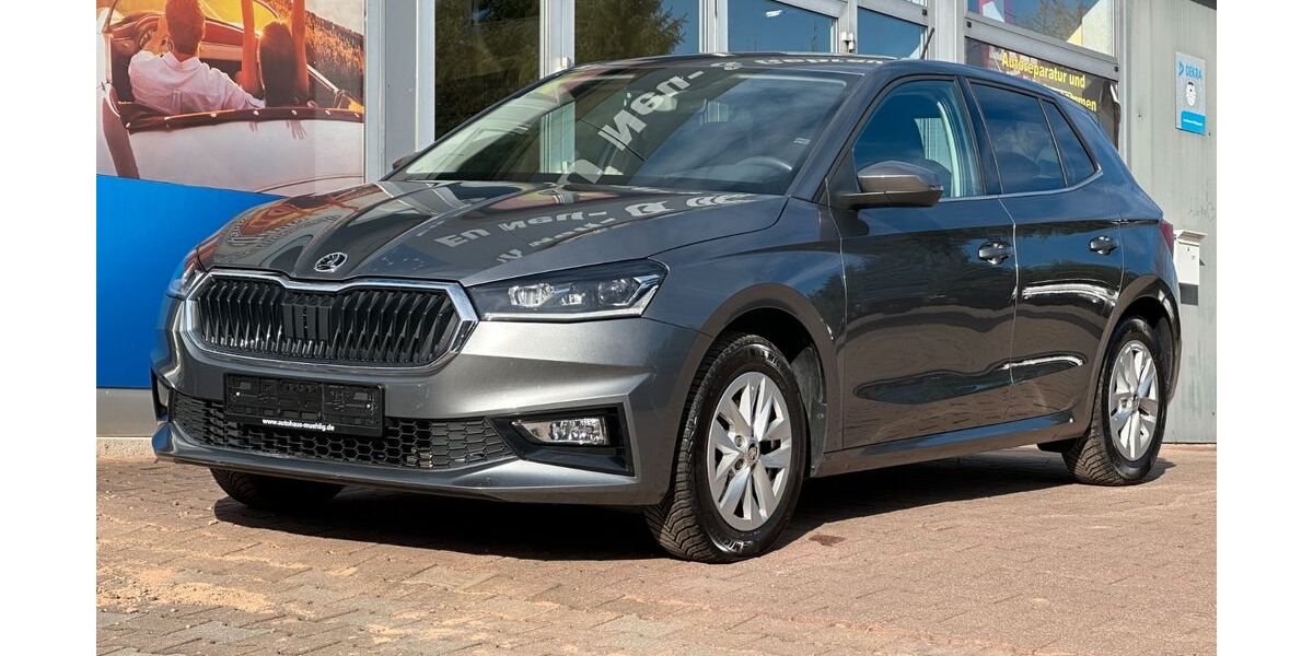 Skoda Fabia 8.250 km 19.400 &euro; Zwickau 08056