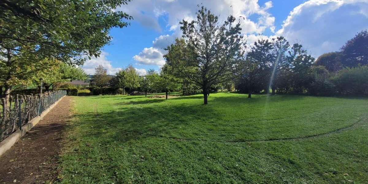 Grundstück Bärnau / Thanhausen Thanhausen - 50.000&euro; | Angebot:25447281