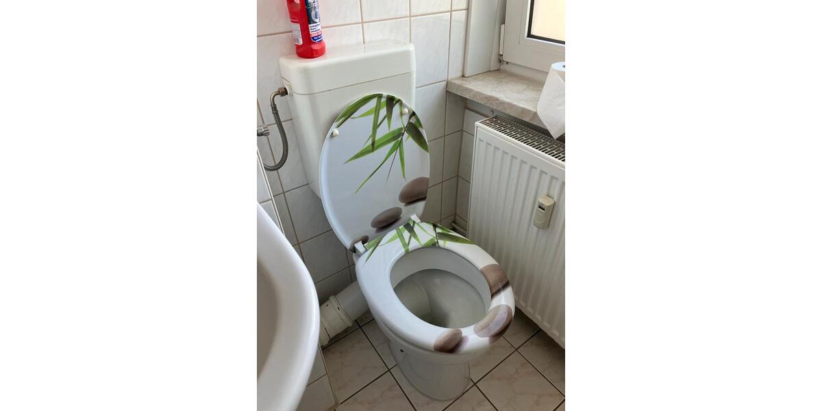 Etagenwohnung Greifswald - 1 Zimmer, 33 m&sup2;, 420&euro; | Angebot:26397987