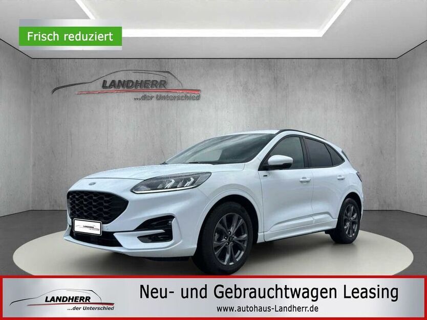 Kuga