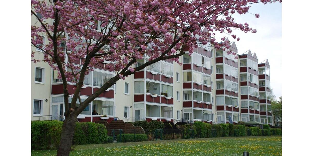 Etagenwohnung Grimmen - 2.5 Zimmer, 61 m&sup2;, 400&euro; | Angebot:26056320