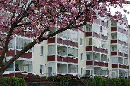 Wohnung Grimmen - 2.5 Zimmer, 61 m&sup2;, 400&euro; | Angebot:26056320