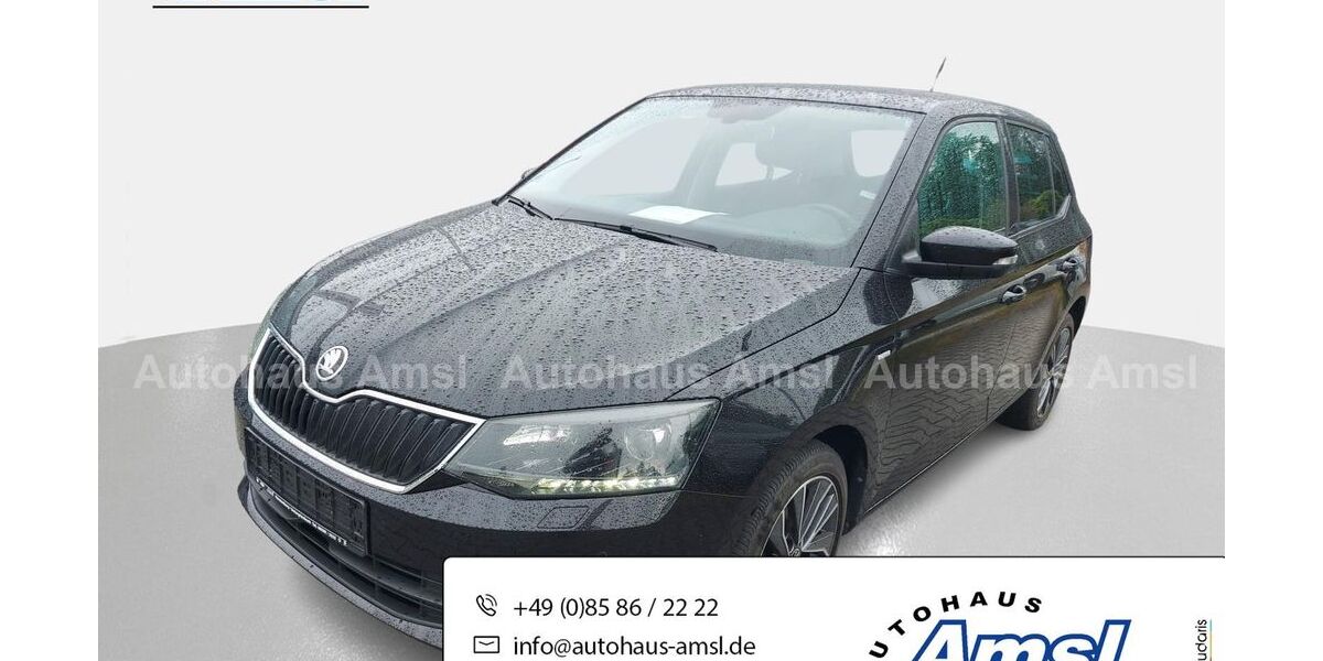 Skoda Fabia 64.980 km 11.489 &euro; Hauzenberg 94051