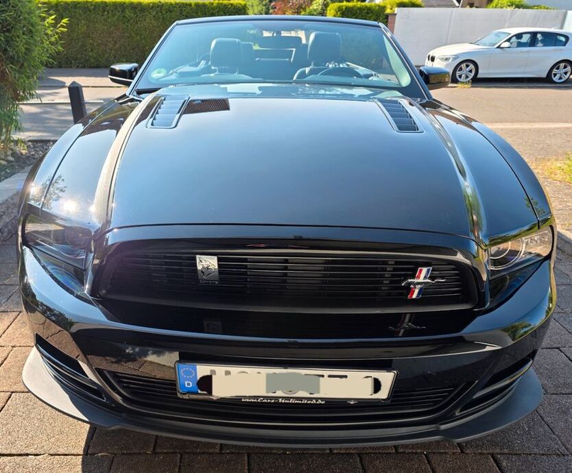 Mustang