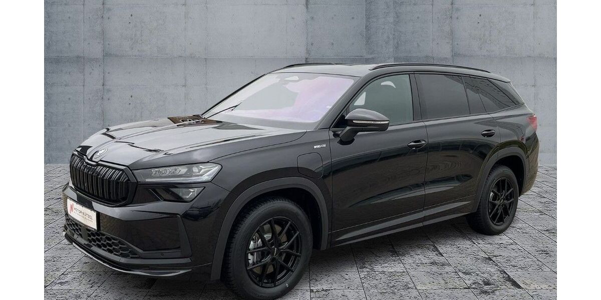 Skoda Kodiaq 6.065 km 51.470 &euro; Himmelkron 95502