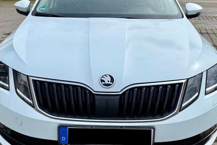 Skoda Octavia 176.105 km 9.999 &euro; Salzgitter 38228