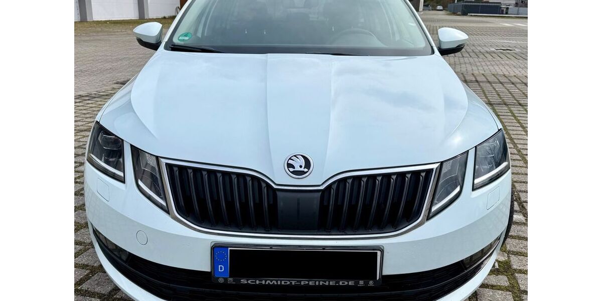 Skoda Octavia 176.105 km 9.999 &euro; Salzgitter 38228