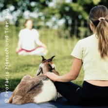 Yoga mit Schafen & Ziegen in der Natur 26.07.2026 Profaris Mensch und Tier