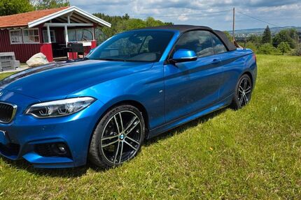 BMW 230 125.000 km 22.500 &euro; Buchenberg 87474