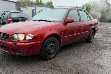 Toyota Corolla 290.000 km 1.890 &euro; Sottrum 27367