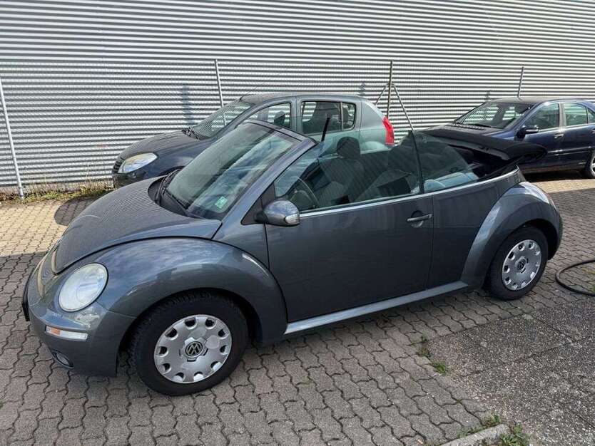 New Beetle
