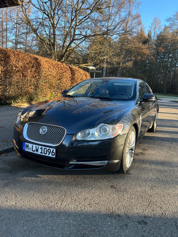 XF