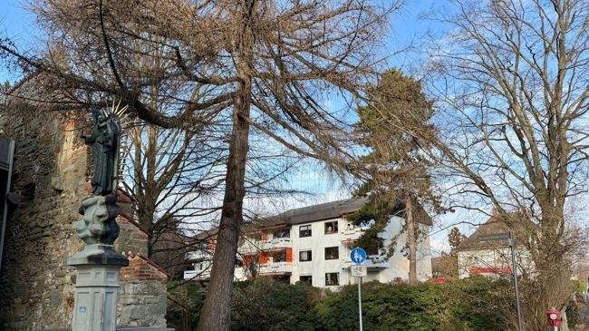 Etagenwohnung Überlingen - 2 Zimmer, 65 m&sup2;, 1.100&euro; | Angebot:24810420