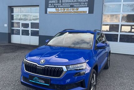 Skoda Karoq 96.668 km 25.950 € Erbach 55494