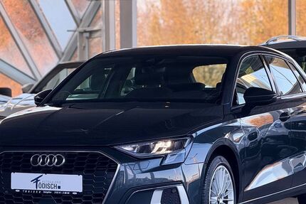 Audi A3 134.167 km 19.480 &euro; Salzgitter 38228