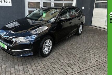 Skoda Octavia 2.600 km 33.750 &euro; Halle / Saale 06120