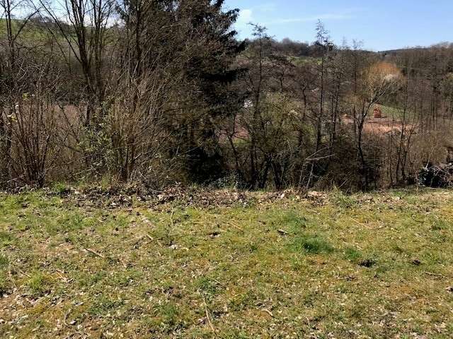 Grundstück zu verkaufen in Ockfen 80.000 € 1220 m²