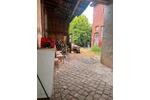 Einfamilienhaus Sonnewalde - 6 Zimmer, 277 m&sup2;, 55.000&euro; | Angebot:26680434