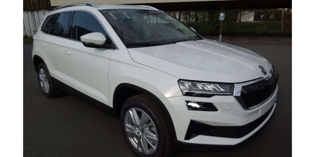 Skoda Karoq 4.950 km 37.085 &euro; Föritztal OT Neuhaus-Schierschnitz 96524