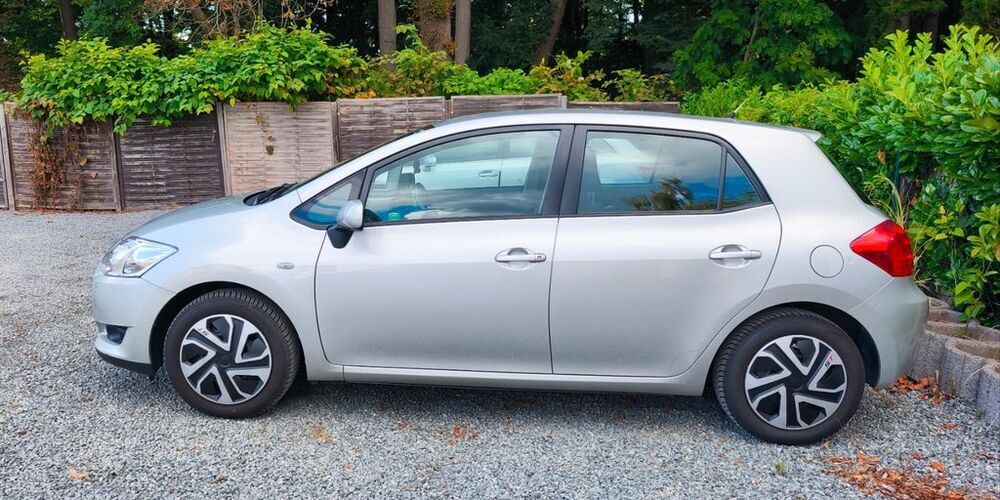 Auris
