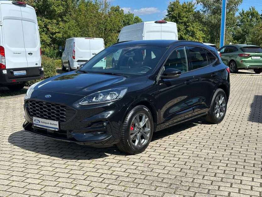 Kuga
