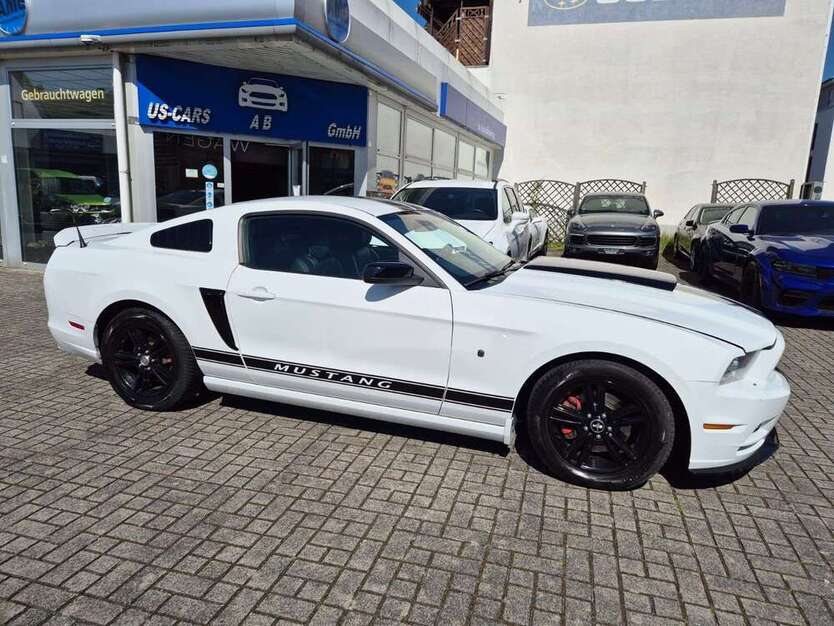 Mustang