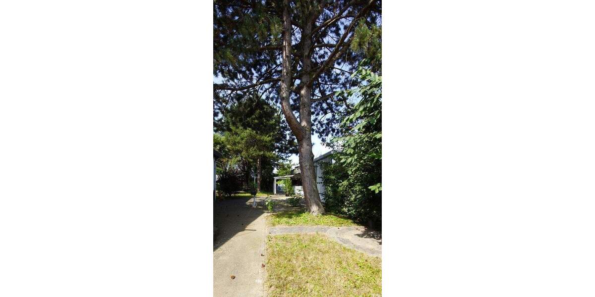 Gewerbeobjekt Laudenbach - 6 Zimmer, 515.000&euro; | Angebot:24874668