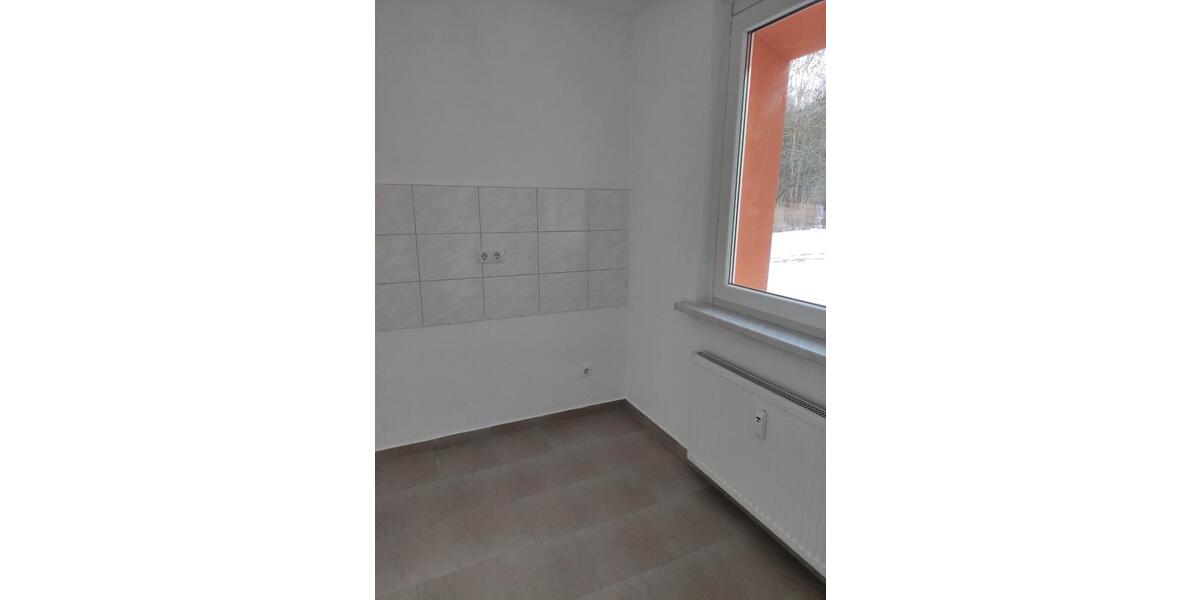 Etagenwohnung Ilsenburg (Harz) - 1 Zimmer, 35 m&sup2;, 213&euro; | Angebot:25374788