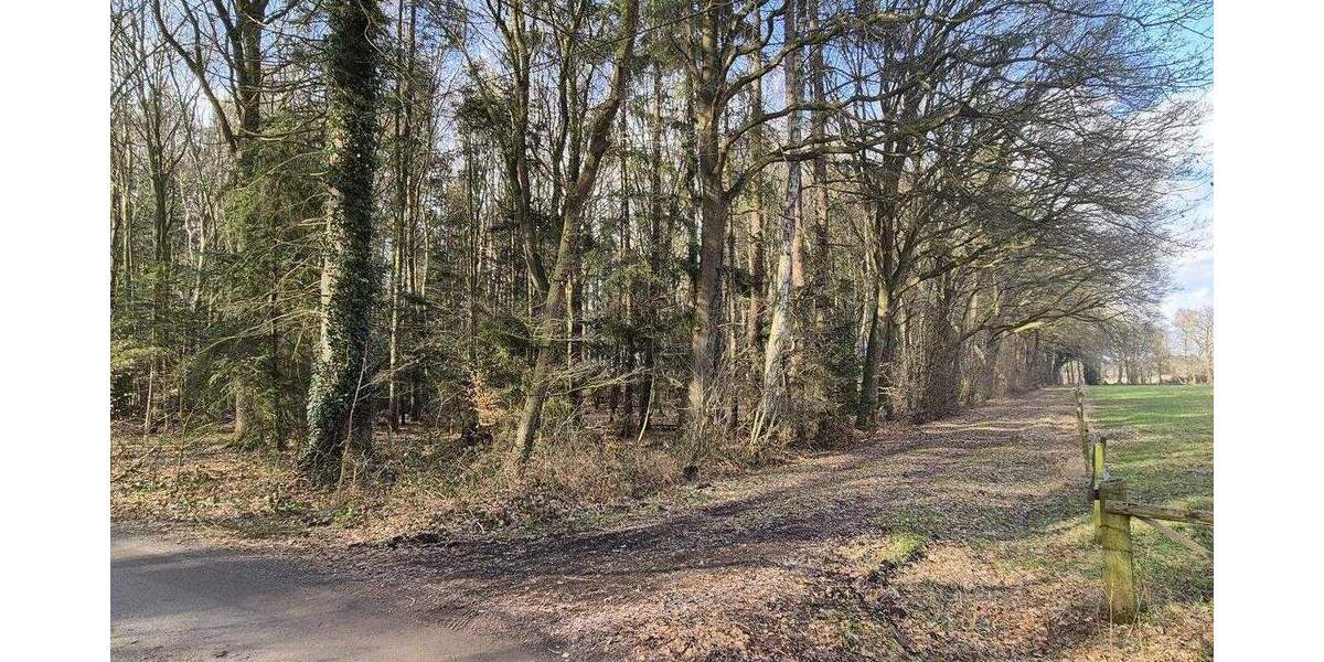 Grundstück Rastede Hankhausen I - 119.000&euro; | Angebot:25399279