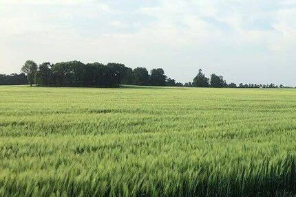 Grundstück Wiesenburg/Mark Wiesenburg - 106.118&euro; | Angebot:25669777