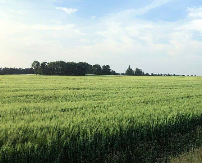 Grundstück Wiesenburg/Mark Wiesenburg - 106.118&euro; | Angebot:25669777