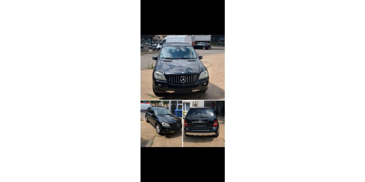 Mercedes-Benz ML 320 217.000 km 9.000 &euro; Landau 76829