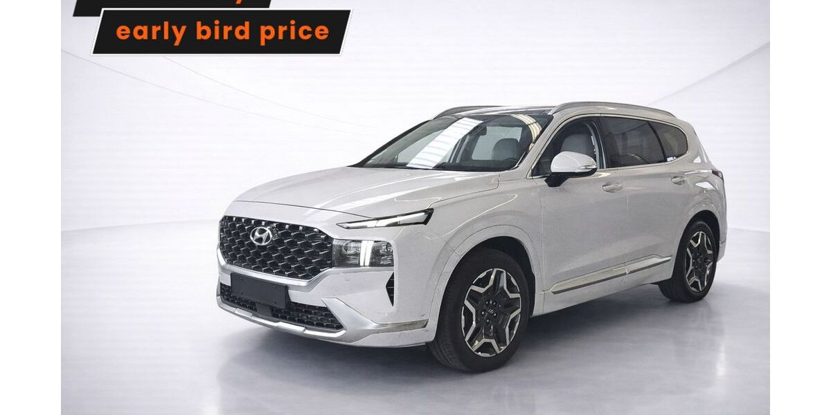 Hyundai SANTA FE 75.797 km 29.494 &euro; Ergolding 84030
