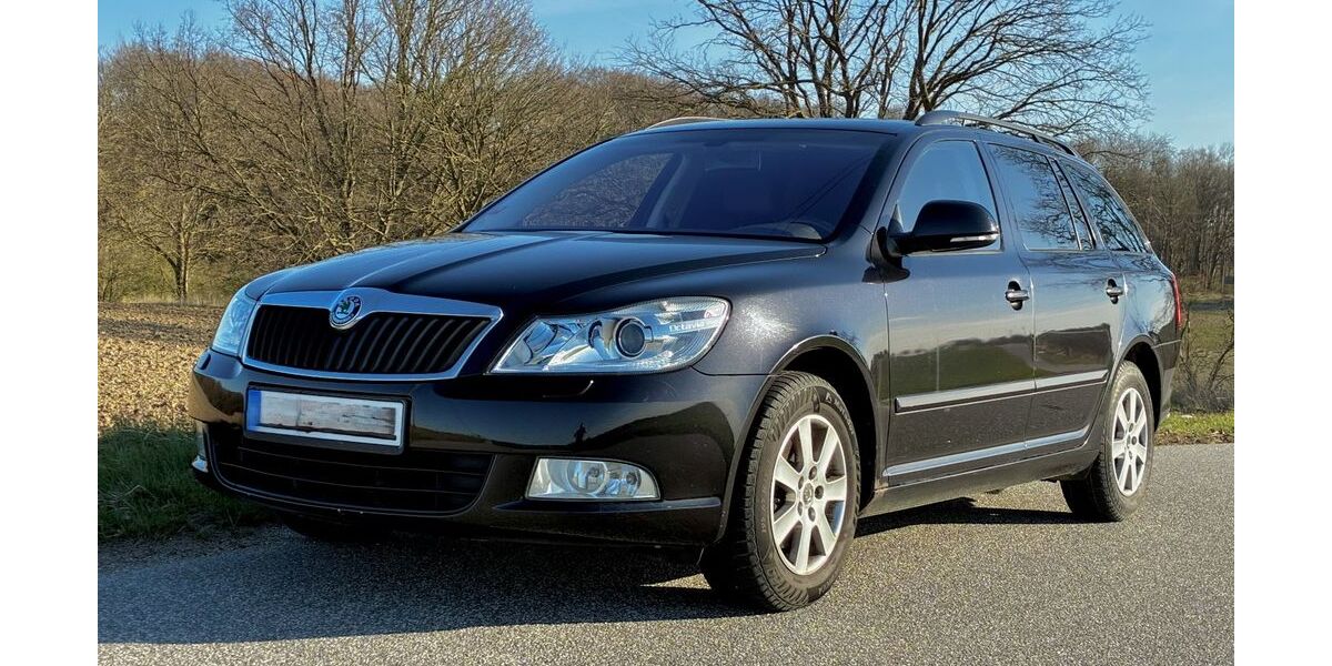 Skoda Octavia 239.823 km 3.990 &euro; Pölchow 18059