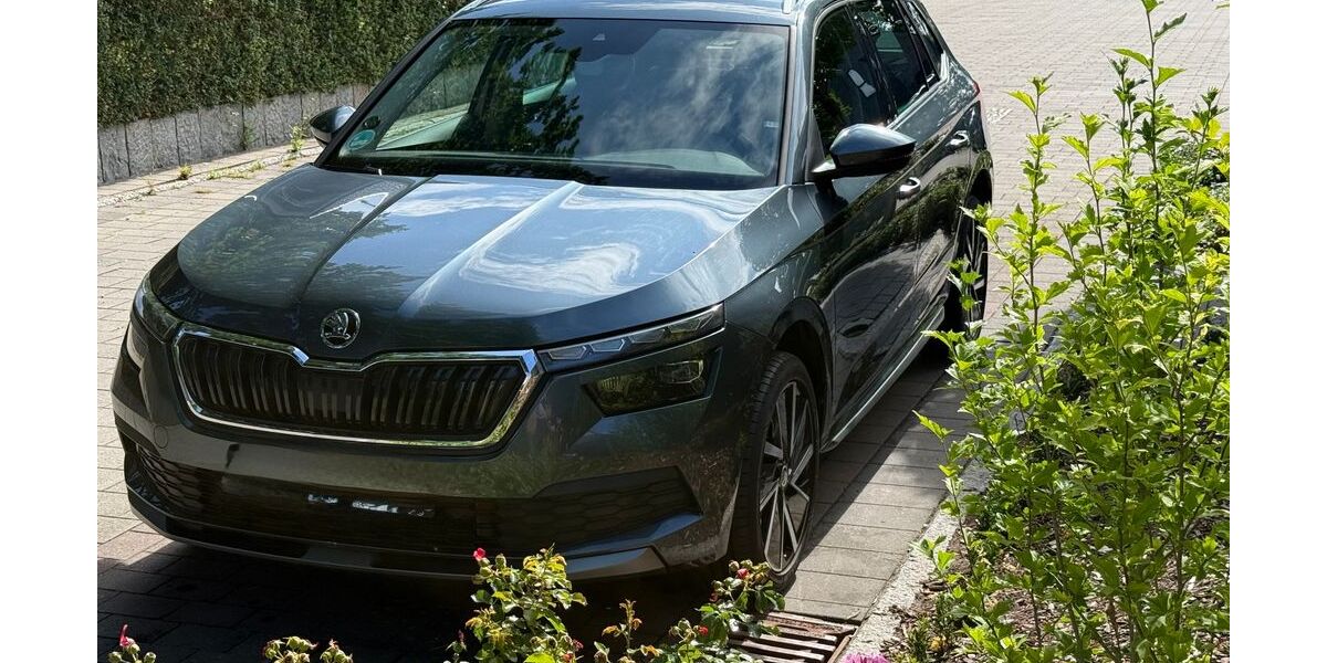 Skoda Kamiq 67.100 km 16.200 &euro; Bad Oldesloe 23843