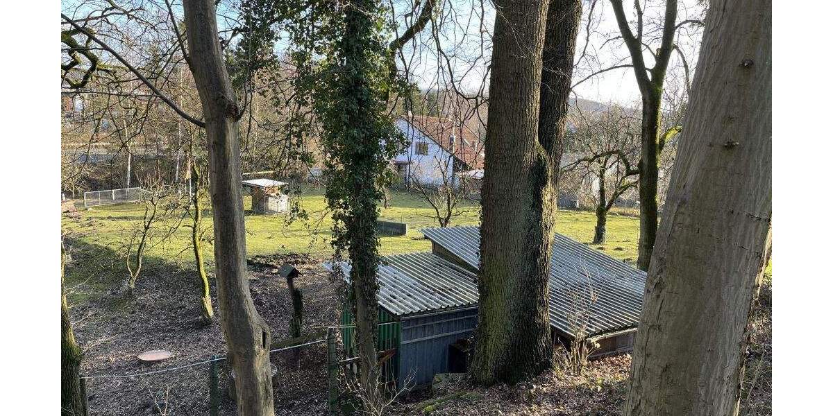 Grundstück Extertal-Bösingfeld Bösingfeld - 51.000&euro; | Angebot:25729448