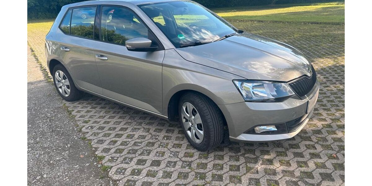 Skoda Fabia 124.000 km 5.950 &euro; Salzgitter 38226