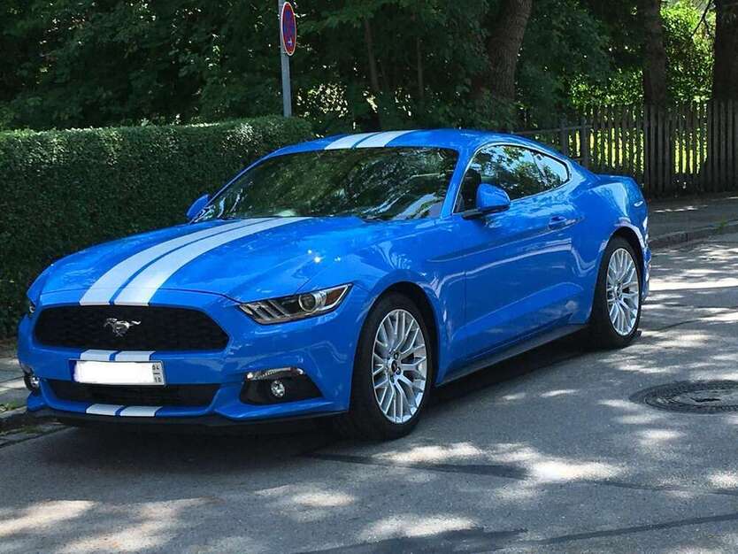 Mustang