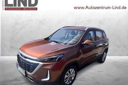 Baic Andere