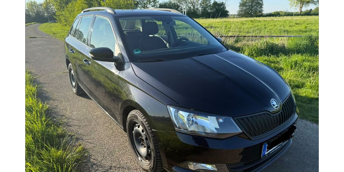 Skoda Fabia 160.400 km 3.950 &euro; Leverkusen 51377