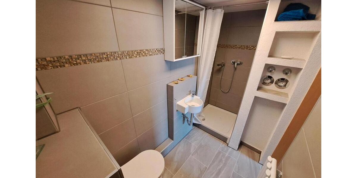 1-Zimmerwohnung in Alt-Zeilsheim 1 zimmer