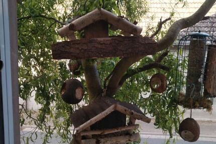 Wohnung Ahorn - 15 Zimmer, 450 m&sup2;, 300.000&euro; | Angebot:25717285