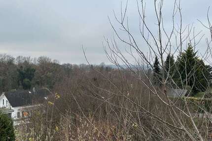 Wohnung zum Mieten in Sinzheim-Winden 650 € 65 m² 3 zimmer