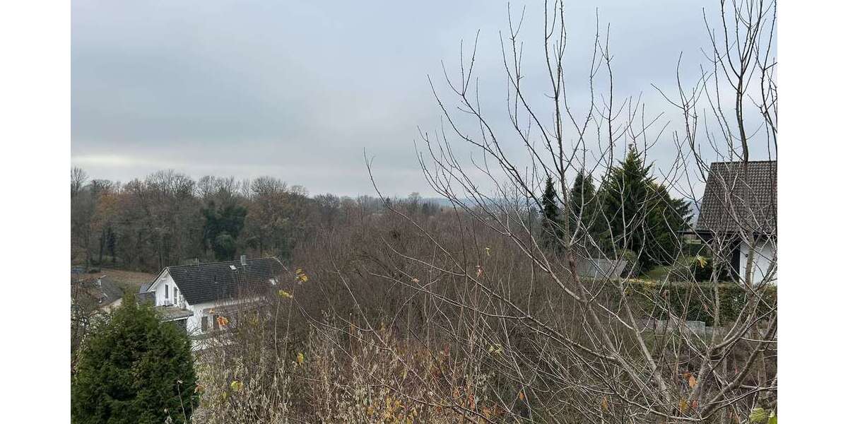 Wohnung zum Mieten in Sinzheim-Winden 650 € 65 m² 3 zimmer