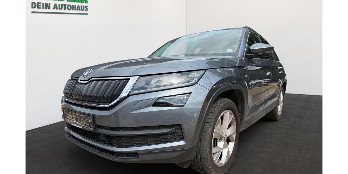Skoda Kodiaq 155.260 km 18.450 &euro; Mylau 08499